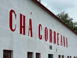 Cha Gorreana Tea Plantation - Portugal photo