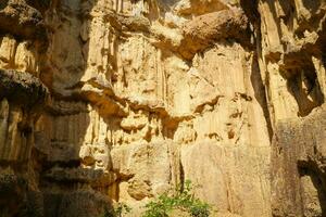 Close up of the cliff soil surface Pha Chor is a tourist attraction in Chiang Mai, a natural phenomenon caused by the upward movement of the Earth's plates and the erosion of wind and rain. photo