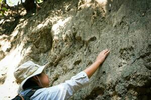 hembra geólogo con mochila explorador naturaleza sendero en bosque y analizando rock o grava. investigadores recoger muestras de biológico materiales ambiental y ecología investigación. foto