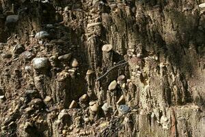 Close up of the cliff stone surface, a natural phenomenon caused by the erosion of the sediment that flows along the watercourse, forming a sedimentary layer with rounded river rocks embedded in it. photo