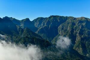 Vargem - Madeira, Portugal photo