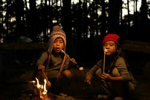 Cute little sisters roasting marshmallows on campfire. Children having fun at camp fire. Camping with children in winter pine forest. Happy family on vacation in nature. photo