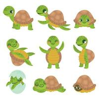 dibujos animados sonriente tortuga. gracioso pequeño tortugas, caminando y nadar tortuga animales vector conjunto