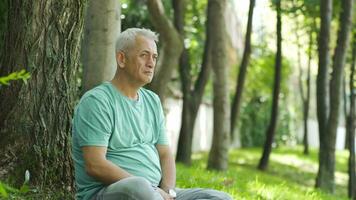 triste e solitario uomo pianto nel il parco. video