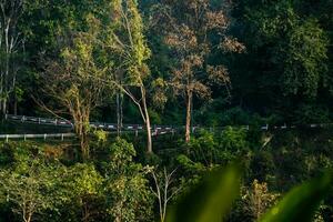 Mountain road with iron guardrail among lush greenery. photo