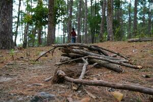 un pila de leña menuda en el bosque piso. ramas pila para hoguera en el bosque. foto