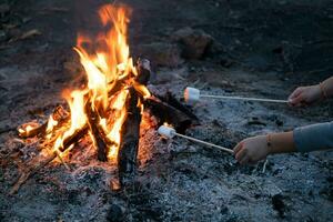 Cute little sisters roasting marshmallows on campfire. Children having fun at camp fire. Camping with children in winter pine forest. Happy family on vacation in nature. photo