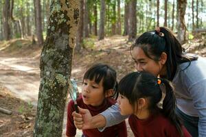 Happy mother and daughter exploring and using magnifying glass to observe bugs on tree trunk in the forest. Happy family on vacation in nature. photo