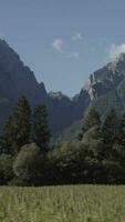 ein Aussicht von das Berge von ein ziehen um Auto video