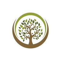 family tree logo template vector