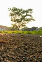 Close up photo of a road in the early morning, after some edits.