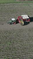 ein Antenne Aussicht von ein Traktor und Anhänger Wird geladen ein LKW mit Kartoffeln video