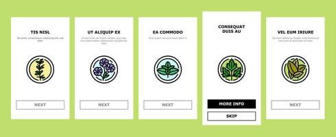 plant natural cosmetic green onboarding icons set vector