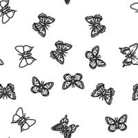 butterfly summer spring insect vector seamless pattern