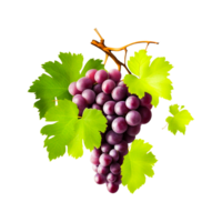 común uva vino vino sultana rubí romano generado ai png