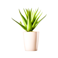 Aloe Vera plant Generative Ai png