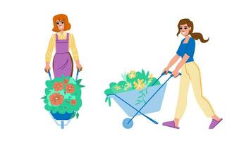 plant garden woman wheelbarrow vector
