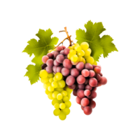 röd vindruvor med löv generativ ai png