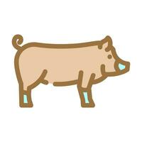 berkshire pig breed color icon vector illustration