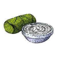 food dolma sketch hand drawn vector