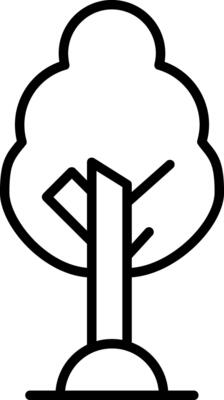 Birch Vector Icon