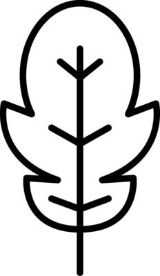 Arugula Vector Icon
