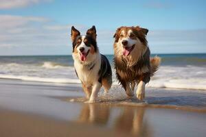 un imagen de dos perros caminando en un playa siguiente a el océano, generativo ai foto