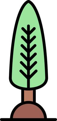 Cypress Vector Icon