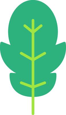 Arugula Vector Icon