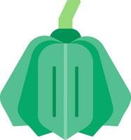 Acorn Squash Vector Icon