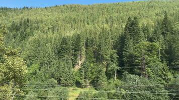 une vue de une énorme Montagne vert forêt video