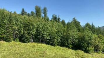 vue par le voiture fenêtre à le Montagne paysage video