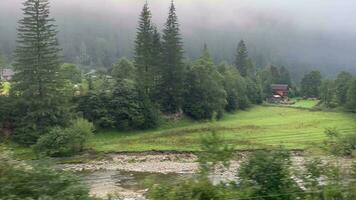 Morning thick fog in the valley of the mountain video