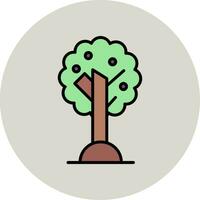 aceituna árbol vector icono