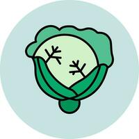 Cabbage Vector Icon