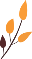 Simplicity autumn leaf freehand drawing png