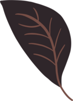 Simplicity autumn leaf freehand drawing png