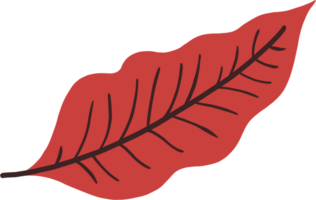 Simplicity autumn leaf freehand drawing png