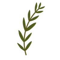 botánico hojas ilustración png