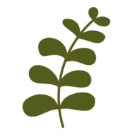 botanico le foglie illustrazione png