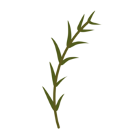 botanisk löv illustration png