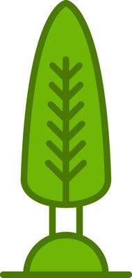 Cypress Vector Icon