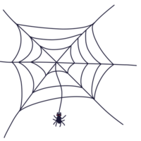 Spinne und Netz png