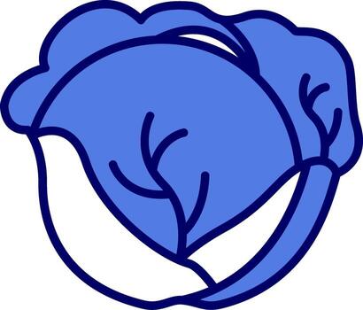 Red Cabbage Vector Icon