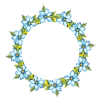 aquarelle illustration de une Cadre de une couronne de bleu fleurs avec bourgeons. couleurs indigo, cobalt, ciel bleu et classique bleu. génial modèle pour cuisine, Accueil décor, papeterie, mariage invitations png