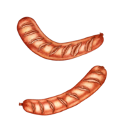 Watercolor illustration of two fried sausages. Traditional snack for picnic, festival, Oktoberfest. Isolated. Ideal food concept, packaging design, cafe, restaurant, menu. png