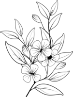 fleur plante décoration ligne art main tiré clipart. floral contour illustration. png