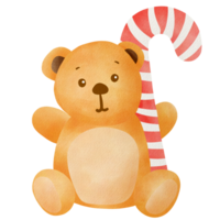 orso Tenere caramella png