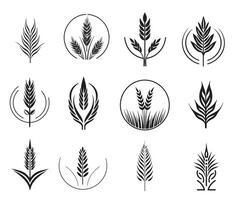 Wheat set of symbols and signs. Ears icon set, hand drawn. Vector outline linear style.