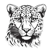 Cheetah Head Sketch Hand Drawn Graphic Safari Animals Vector Illustration